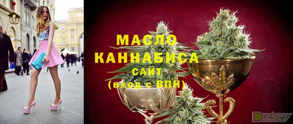 мет Новозыбков