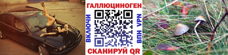 сайты даркнета телеграм  Георгиевск  Галлюциногенные грибы Psilocybe 